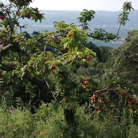 Llobet Espai Rural Slow